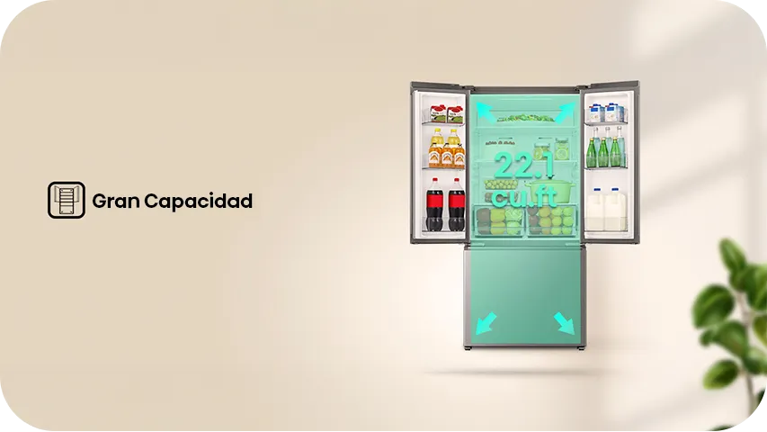 Vive el estadio en casa