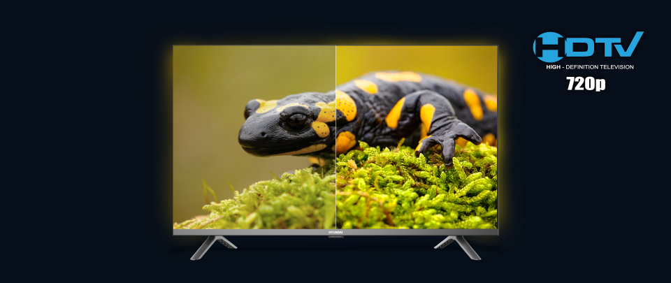 Vive el estadio en casa