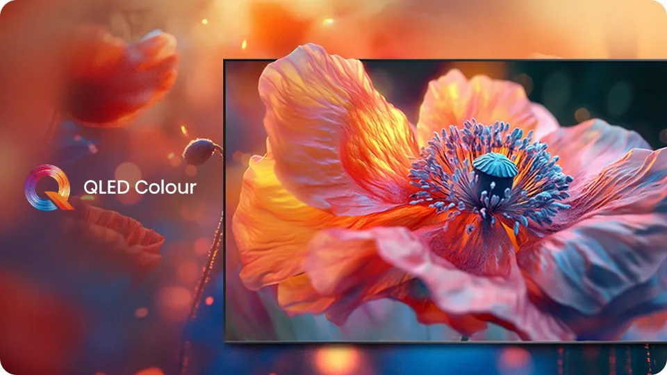 Hisense 43Q6QV QledColor